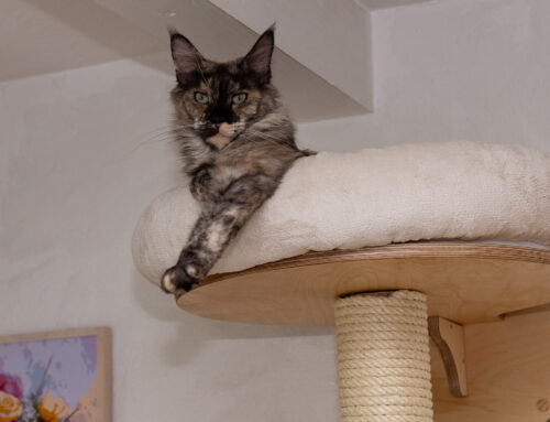 Weitere Bilder im Haus