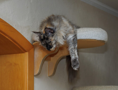 Abhängen und Relaxen