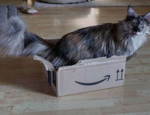 Babooshka, Eve und Wilson + Auswanderer