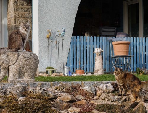 Zwischen Aprilwetter